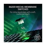Bg Store Ornata V3 Tenkeyless - Kompakt Düşük Profil Oyun Klavyesi (Meka-Membran Anahtarlar, Özel Medya Tuşları, Manyetik Yumuşak Dokunuşlu Bilek Desteği) Tr Düzeni | Siyah