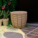 BGG Duvar Çizgi Desenli Orkidelik Dekoratif Beton Saksı - Bej