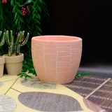 BGG Duvar Çizgi Desenli Orkidelik Dekoratif Beton Saksı - Pembe