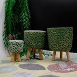 BGG Halka Desenli Dekoratif Ahşap Ayaklı Beton Saksı - Yeşil