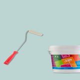 Bi Boya 0.75 lt Tuna Tek Duvar Boyama Seti
