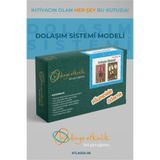 bi dünya etkinlik Dolaşım Sistemi Modeli Deney Seti, ATLAS02-08, Mavi