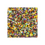 Bi hızlı Miyuki Boncuk 11/0, Miyuki Delica Boncuk, 2 Gram, Mix