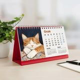 Bi'aldım 2026 Kedili Masa Takvimi | Üç Aylık Takvim - Önceki Ay Sonraki Ay | Kedi Severlere Hediye - Kırmızı - Tek Ebat