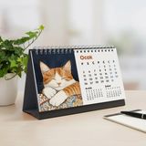 Bi'aldım 2026 Kedili Masa Takvimi | Üç Aylık Takvim - Önceki Ay Sonraki Ay | Kedi Severlere Hediye - Siyah - Tek Ebat