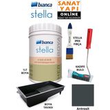 Bianca Stella 1 lt Boya ile 4 Parçalı Set: Boya Tavası, İpek Fırça ve Kadife Rulo İçerir