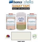 Bianca Stella 10-12 M2 Boyama Seti ( 1lt Boya+ 1lt Maximo Parlak ) - Paris Grisi