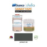 Bianca Stella 4-6 M2 Boyama Seti ( 500Ml Boya+ 500Ml Maximo Parlak) Antrasit Gri