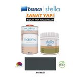 Bianca Stella 4-6 M2 Boyama Seti ( 500Ml Boya+ 500Ml Maximo Parlak) Antrasit