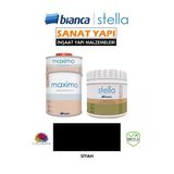 Bianca Stella 4-6 M2 Boyama Seti ( 500Ml Boya+ 500Ml Maximo Parlak) Siyah