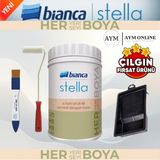 Bianca Stella 4 Parça Boyama Seti - Tay Tüyü - 1 Litre