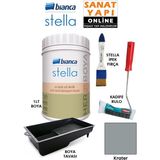 Bianca Stella 4 Parçalı Set - 1 lt Boya, Boya Tavası, Kadife Rulo ve Stella İpek Fırça