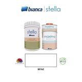 Bianca Stella Boyama Seti ( 1Lt Boya + 0.5 Lt Maximo Sıvıcam Parlak) Beyaz