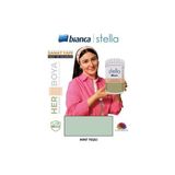 Bianca Stella Mint Yeşili Su Bazlı Akrilik Boya Mükemmel Su Dayanımı ve Kolay Uygulama Özelliği