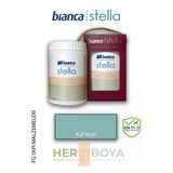 Bianca Stella Su Bazlı Akrilik Boya Küf Yeşili 0,5 Lt