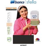 Bianca Stella Su Bazlı Boya Fayans-Mermer-Tezgah-Kapı-Dolap-Iç Cephe-Dönüşüm-Mutfak-Banyo-Plastik-Ahşap - Gri