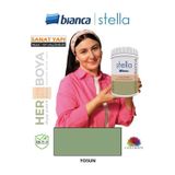 Bianca Stella Su Bazlı Boya Fayans-Mermer-Tezgah-Kapı-Dolap-İç Cephe-Dönüşüm-Mutfak-Banyo-Plastik-Ahşap Yosun 1 Litre