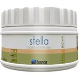 Bianca Stella Su Bazlı Saf 0.25 lt Gümüş Akrilik Metalik Boyası