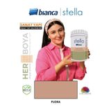 Bianca Stella Su Bazlı Saf 1 lt Pudra Kahve Akrilik Boya