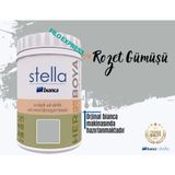 Bianca Stella Su Bazlı Saf Akrilik Boya 1 Litre - Rozet Gümüşü