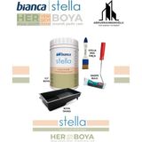 Bianca Stella Su Bazlı Saf Akrilik Boya ( 4 Parça Set ) - Beyaz - 1 LİTRE