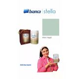 Bianca Stella Su Bazlı Saf Akrilik Boya 500Ml - Mint Yeşil Mint Yeşili