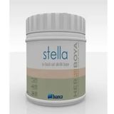 Bianca Stella Yasemin 0.5 L Saf Akrilik Boya