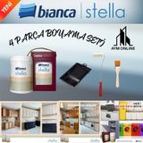 Bianca Stella Yeni Nesil Dönüşüm Boyası 1 Litre (4 Parça Boyama Seti) - Taş