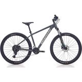 Bianchi Bıanchı Magma 27S Cues Erkek Dağ Bisikleti 380H Hd 27.5 Jant 18 Vites Gri Silver - Çok Renkli