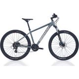 Bianchi Magma 29.1 Altus 29 24V HD Gümüş 48 cm Dağ Bisikleti