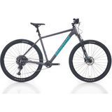 Bianchi Magma Comp 9.1 Cues 530H 1x10-V HD Mat Gri Metalize Celeste Dağ Bisikleti