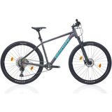 Bianchi Magma Comp 9.S 1x12 Vites 29 Jant 48 cm Gri Dağ Biskleti