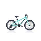 Bıanchı Xr20 Erkek Çocuk Bisikleti 280H V 20 Jant 7 Vites Shımano 7C Celeste Siyah