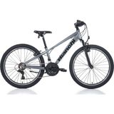 Bianchi XR24.2 21-V Vb Erkek Çocuk Dağ Bisikleti - Gri-Siyah - 31 cm - Gri - Siyah