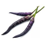 Biber Süs Mor Çoklu Tohum - 3 Gram