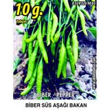 Biber Tohumu Aşağıbakan Yeşil Süs - 10g (~ Takribi 800 Tohum)