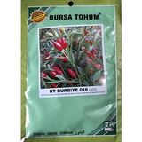 BİBER TOHUMU BURBİYE (SÜS BİBERİ OVAL ACI) 25 GR ORT 3000 ADET