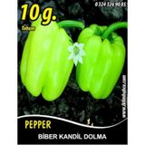 Biber Tohumu Kandil Dolma - 10 G (~ Takribi 800 Tohum)