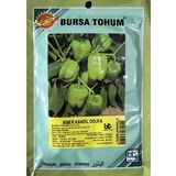 BİBER TOHUMU KANDİL DOLMA (25 GR 3000 ADET TOHUM)