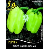 Biber Tohumu Kandil Dolma - 5 g (~ Takribi 400 Tohum)