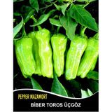 Biber Tohumu Mazamort Üçgöz - 25g (~ Takribi 2000 Tohum)