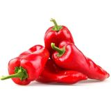 Biber Yağlık Salçalık Çoklu Tohum - 5 Gram