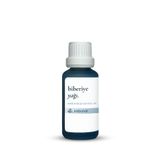 Biberiye Yağı 30 ml - Saç Dökülme Karşıtı ve Cilt Bakım Yağı