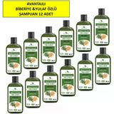 Biberiye & Yulaf Özlü Şampuan, Saç Dökülmesine Karşı Yardımcı 485 Ml 12'Li Paket