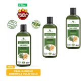 Biberiye & Yulaf Özlü Şampuan, Saç Dökülmesine Karşı Yardımcı 485 Ml 3 Lü Set