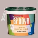 Bi'Boya 4011 7.5 lt Silikonlu Dış Cephe Boyası