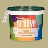 Bi'Boya 4202 7.5 lt Silikonlu Dış Cephe Boyası
