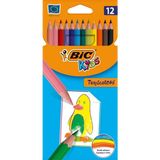 Bic 12'li Uzun Kuruboya Renkli Boyalar Seti Çocuklar İçin Vivid Renkler