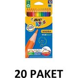 Bic 20 Paket Evulotion Kuru Boya Kalemi 12 Renk Tam Boy - Renkli