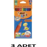 Bic 3 Adet Evolution Kuru Boya 12`li